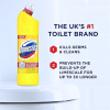 Domestos Bleach 750ml Citrus