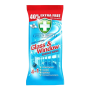 Greensheild Glass & Winedow Wipes 70w