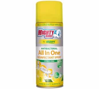 Airpure Disinfectant Citrus Zinc Spray 450ml